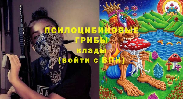 ПСИЛОЦИБИНОВЫЕ ГРИБЫ Абинск