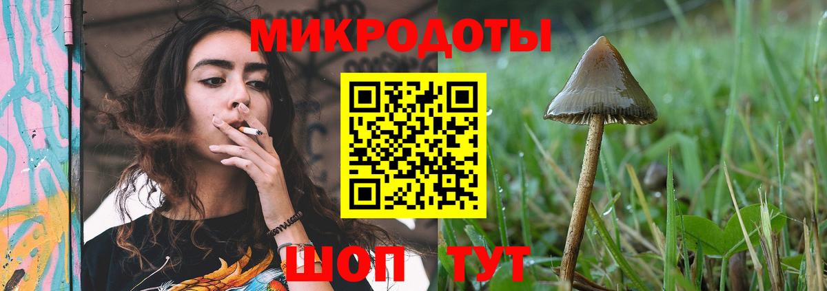 Костомукша  Галлюциногенные грибы мицелий  Вход с VPN 